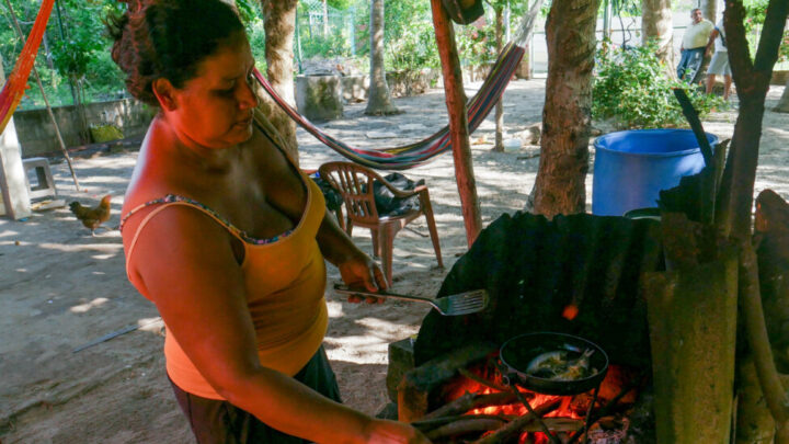 Ana Margarita Ramos fries two fish for dinner on a wood stove in El Zapote, a coastal village located in the municipality of San Luis La Herradura, in the Salvadoran department of La Paz. Due to economic difficulties she frequently has to cook with firewood, and she fears that she might get asthma from exposure to the smoke. CREDIT: Edgardo Ayala / IPS