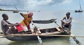 A Common African Approach to Environmental Challenges, Now & for the Future - Vimarsana News