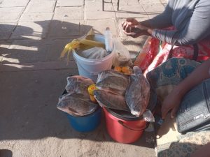Disappearing Fish Spell Hard Times for Women in Zimbabwe