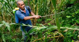 Unregulated Agrochemicals Harm Health of Rural Residents in Central America - Vimarsana News
