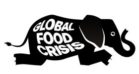 A Plea for a UN Summit on the Global Food Crisis - Vimarsana News