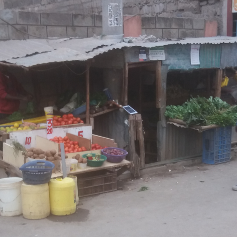 Togotia, a forgotten African leafy vegetable, has found its way back into markets as its high nutritional value could help address food security. CREDIT: Egerton University