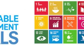 SDG Data Insights: Beyond Our Assumptions - Vimarsana News