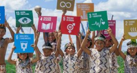 Wanted: A New Local Oversight Structure to Achieve SDGS, Climate Action & Biodiversity Preservation - Vimarsana News