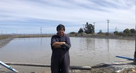 Treated Wastewater Is a Growing Source of Irrigation in Chile's Arid North - Vimarsana News