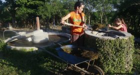 Innovative Family Farm in Cuba Uses Mix of Clean Energies - Vimarsana News