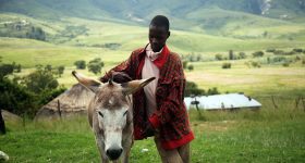 NDB Spotlight: The Lesotho Highlands Water Project – Who Benefits? - Vimarsana News