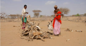 Hunger in East Africa Is a True Testament to Climate Injustice - Vimarsana News