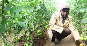Innovative Financial Services Transform Agricultural Entrepreneurship - Vimarsana News