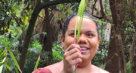 Growing Appetite for Nutrient-Rich Native Indigenous Australian Foods - Vimarsana News