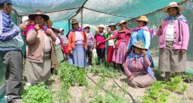 Community Solutions Combat Water Shortages in Peru's Highlands - Vimarsana News