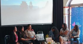 How to Defend the Environment and Survive in the Attempt, as a Woman in Mexico - Vimarsana News