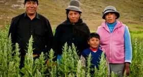 Shared Responsibility: Eradicating Hunger in Latin America and the Caribbean - Vimarsana News