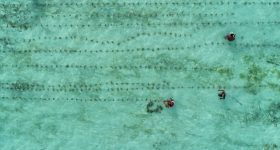 COP28: Strengthen Climate Resilience in Small and Vulnerable Countries - Vimarsana News
