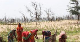 The Relentless Struggles of India's Seawall Mammas - Vimarsana News