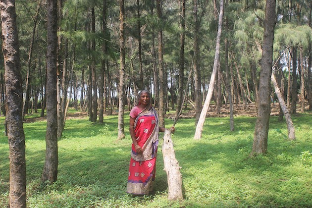 Bengalata Rout, the women’s group leader, poses amidst the Casuarina forest the women planted after the 1999 Super Cyclonic Storm. Credit: Manipadma Jena/IPS