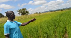 Smallholder Farmers Gain Least from International Climate Funding - Vimarsana News