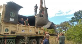 Communities Taking a Sting Out of Poaching With Alternative Livelihoods - Vimarsana News
