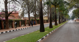 Restoring Indigenous Trees to Combat Climate Change in Rwanda - Vimarsana News