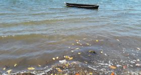 Carbon Market Systems Deepen Inequalities in Global South - Vimarsana News