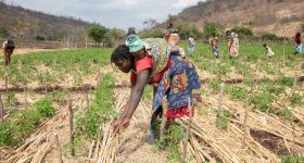 Time to Convert Climate Change Rhetoric into Action - WFP - Vimarsana News