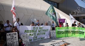What's in Store for Indian Farmers After Cop 28's Conclusion in Dubai? - Vimarsana News