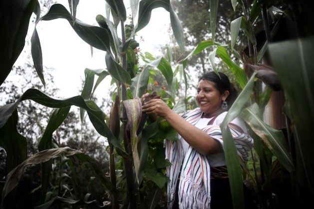 Research associate, Tania Eulalia Martínez Cruz from Oaxaca, Mexico shows how intercropping assists communities remain self-sufficient. Credit: Conrado Perez/IPS