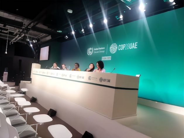 A feminist coalition called for feminist approaches to combatting climate change. Credit: Umar Manzoor Shah/IPS