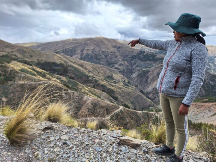 Yolanda Haqqehua, an agroecological farmer from the rural Quechua community of Muñapata in the southern Andes highlands of Peru, points out the areas where they planted queuñas, an altiplano tree highly adapted to capture water from the environment and infiltrate it into the soil through its roots—a contribution to combating the recurrent droughts caused by the climate crisis. CREDIT: Mariela Jara / IPS