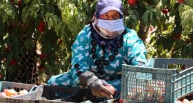 How Empowering Women Farmers Drives Change in Jordan and Beyond - Vimarsana News