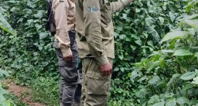 Rwanda's Conservation Gains Momentum With Bird Sounds Recording - Vimarsana News