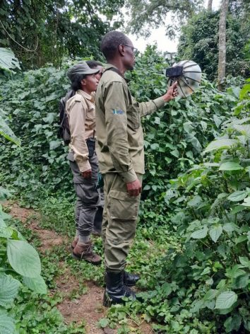 Young Rwandan citizen scientists record bird sounds in the forests in a project that plays a pivotal role in the country's bird protection. Credit: Planet Birdsong Foundation