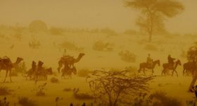The Impact of Climate Migration on Developing Nations - Vimarsana News