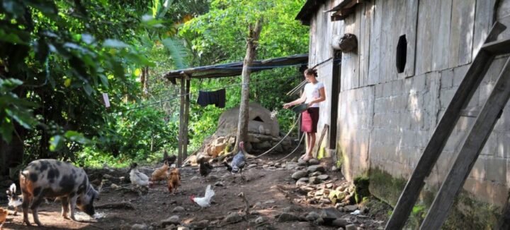 A woman feeds livestock next to her house in rural Nicaragua. Housing and food conditions are often very precarious in the most depressed rural areas of Central America. CREDIT: FAO