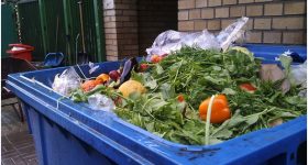 Addressing the Dual Challenge of Food Waste and Food Insecurity: Here's Some Ideas - Vimarsana News