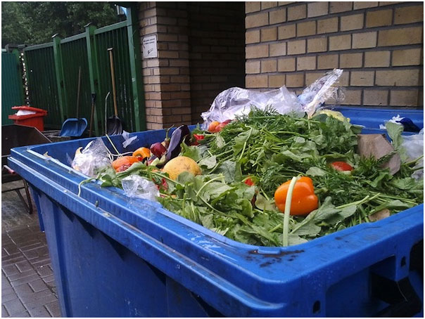 Food insecurity and food waste create a paradox that necessitates us to creatively address these two interlinked issues. Credit: Claudia Ciobanu / IPS