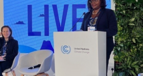 From Chemical Engineer to Climate Justice Avenger - Vimarsana News