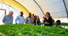 Smallholder Farmers Are Key to CGIAR Response to Hunger Crisis - Vimarsana News