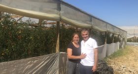 Solar Energy Gives Important Boost to Small-scale Farmers in Chile - Vimarsana News