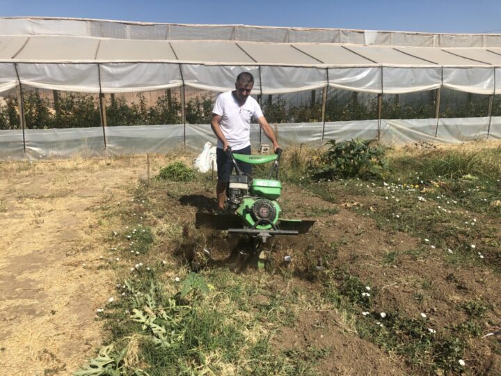 Freddy Vargas turns the soil on his farm in the municipality of Mostazal, south of Santiago, Chile. Lettuce is his star vegetable, with thousands of heads sold on the farm. The farmer plans to buy a mini-tractor to alleviate the work of plowing the land. CREDIT: Orlando Milesi / IPS