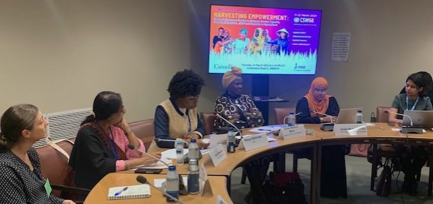 Women's land rights formed part of the discussions of the 68th session on the Commission for the Status of Women. Credit: Naureen Hossain/IPS