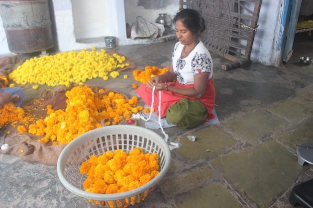 Seema Mali at her Odni Chawl one-room home in Ahmedabad city, making marigold garlands to be sold to temple devotees in the evening. Credit: Manipadma Jena/IPS