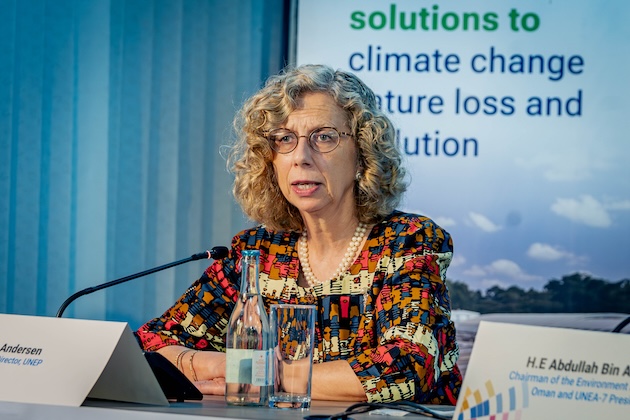 United Nations Environmental Programme (UNEP) Executive Director Inger Anderson