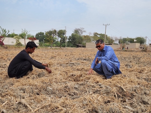 Sugarcane waste, which otherwise was often burned, causing greenhouse gas emissions, is used to nourish the soil at Mahmood Nawaz Shah’s (right) farm. Credit: Mahmood Nawaz Shah/IPS