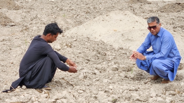 Heaps of highly nutrient farmyard manure and silt from the river is spread to enrich and stabilize the soil’s Ph levels, says Mahmood Nawaz Shah. Credit: Mahmood Nawaz Shah/IPS