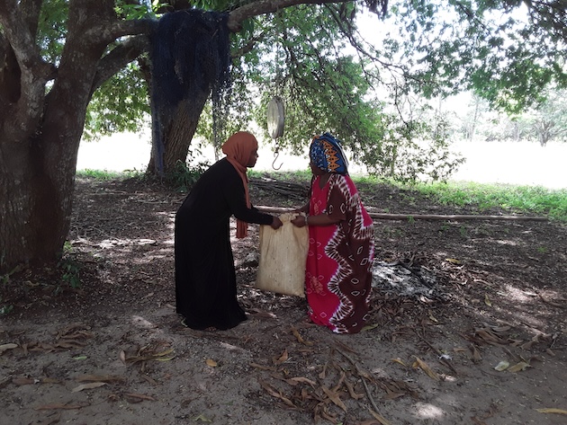 Rehema Abdalla and Saumu Hamadi weigh seaweed using a home scale. Credit: Joyce Chimbi/IPS
