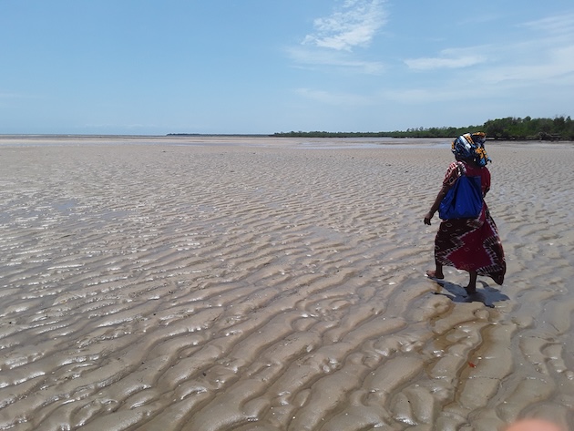 Rehema Abdalla walking to her seaweed farm, located nearly 1.7 km away from Mwazaro Beach coastline. Seaward farming is conducted in the ocean during low tides. Credit: Joyce Chimbi/IPS