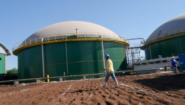 Two huge biodigesters process around 40,000 tons of organic waste produced by Grupo Campestre's poultry farms and other companies in El Salvador each year. This material is used to generate biogas to produce electricity that is injected into the national grid. CREDIT: Edgardo Ayala / IPS