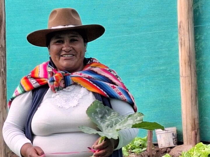 Felipa Noamesa, a 44-year-old Quechua farmer, stands in her vegetable garden in Paruro, a village in the southern Peruvian department of Cuzco. Malnutrition is a common problem in her community and her concern is to feed her young granddaughter a nutritional diet so that she will grow up strong and healthy. CREDIT: Mariela Jara / IPS