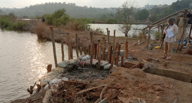 Can Preserving Goa's Khazans Address Climate Threats? - Vimarsana News